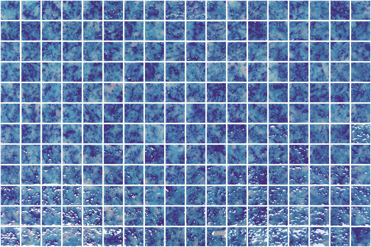 san-marco-blue.jpg -